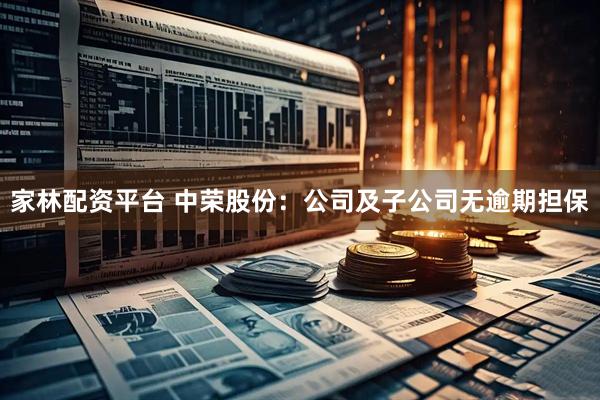 家林配资平台 中荣股份:公司及子公司无逾期担保