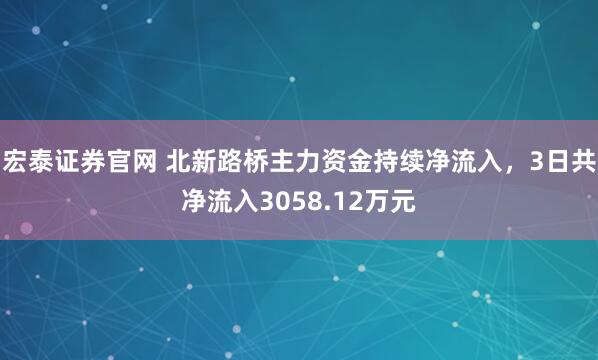 宏泰证券官网 北新路桥主力资金持续净流入，3日共净流入3058.12万元