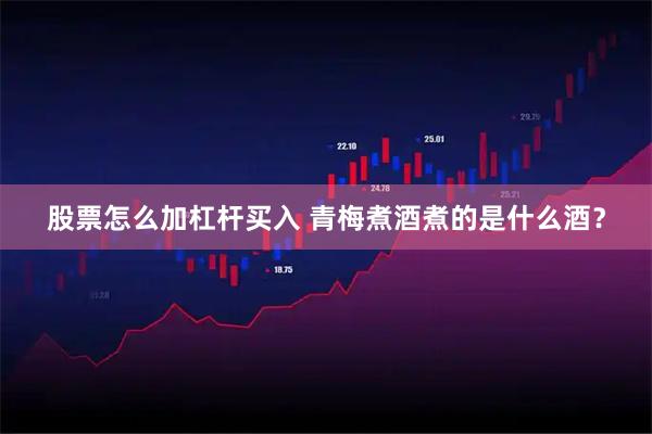 股票怎么加杠杆买入 青梅煮酒煮的是什么酒？