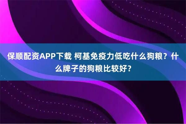 保顺配资APP下载 柯基免疫力低吃什么狗粮？什么牌子的狗粮比较好？